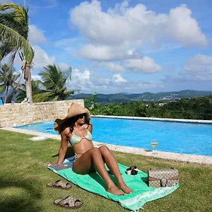 https://art-retreat-studio-adventures.top-hotels-puertorico.com